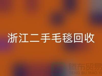 二手毛毯回收,舊物新生的【浙江,上海,江蘇】綠色的庫存之旅