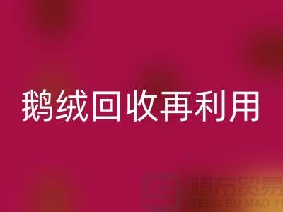 1737031531737030.png 6e0b14c224781ee80734ba157b37b403_1.png