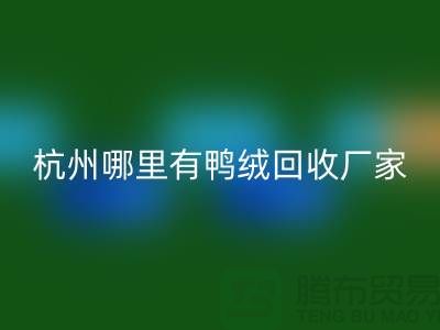 揭秘羽絨回收市場，每斤價值幾何？杭州鴨絨回收廠家