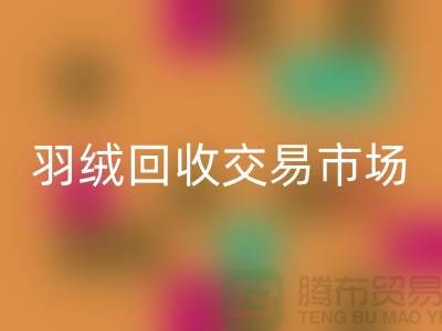 打造綠色未來，羽絨回收交易市場的新篇章