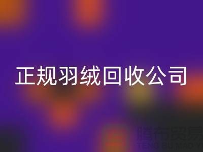 正規羽絨回收公司 —— 您的羽絨服、羽絨被及羽絨制品的環保再生伙伴