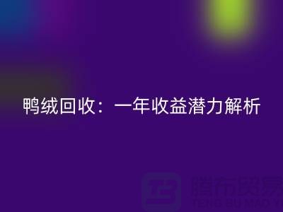 鴨絨回收:一年收益潛力解析@上海騰布貿易