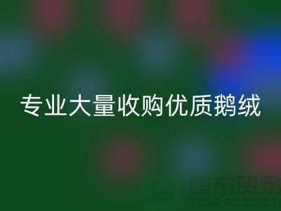 專業羽絨回收:大量收購優質鵝絨與鴨絨@上海騰布貿易公司