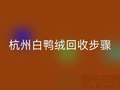 1737798045875803.png db0217ce2cb5297e68791208e15374a4_1.png