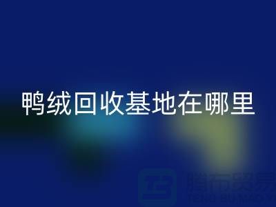 哪里有回收鴨絨的,鴨絨回收基地在哪里@安徽羽絨回收廠家