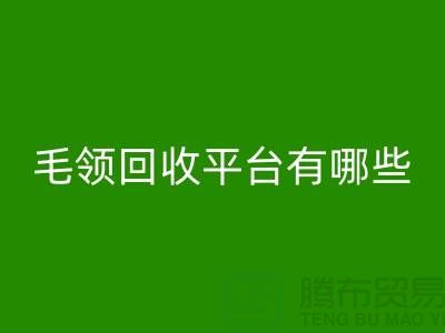 毛領(lǐng)回收平臺有哪些公司或者品牌