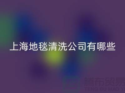 在上海,地毯清洗服務公司有哪些
