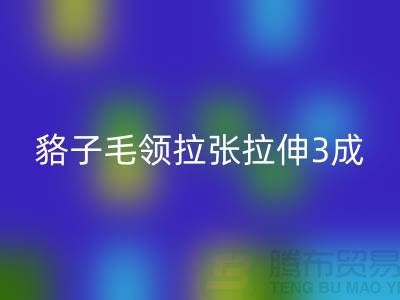貉子毛領的皮張拉伸3成,痕跡客戶也看不出來-回收毛領廠家