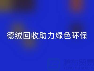 1738503305133012.png e3a0bf49e53b2c40eebd242b5969e59a_1.png