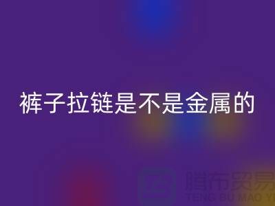 怎樣判斷褲子拉鏈是不是金屬的材質