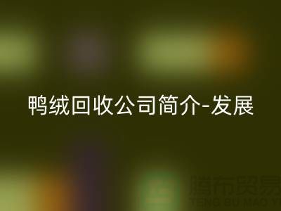 鴨絨回收公司簡介-發(fā)展背景-業(yè)務(wù)范圍-技術(shù)優(yōu)勢-鵝絨回收廠家