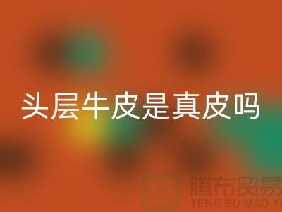 鞋子頭層牛皮是真皮嗎還是假皮@騰布解說員分享