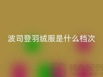 波司登羽絨服是什么檔次的牌子