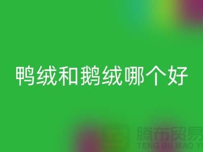 新國標鴨絨和鵝絨哪個好