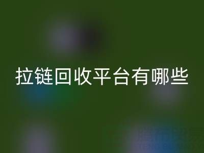 拉鏈回收平臺有哪些品牌？探索環?；厥盏念I先企業
