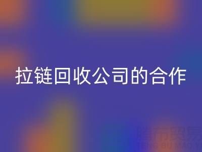跨境電商時(shí)代:拉鏈回收公司的國際合作與交流新路徑