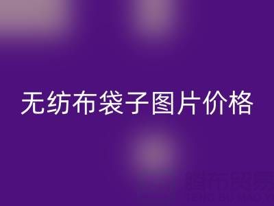 無(wú)紡布袋子生產(chǎn)廠家：如何高效獲取產(chǎn)品圖片與價(jià)格指南