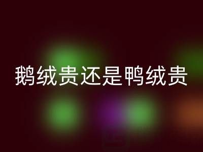 鵝絨貴還是鴨絨貴?鵝絨和鴨絨選購建議大揭秘!