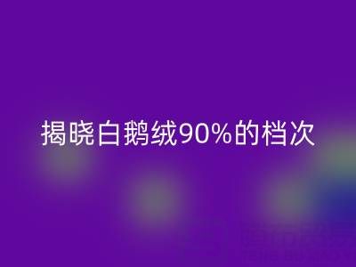 揭秘白鵝絨90%的檔次與價值,探尋杭州羽絨回收奧秘