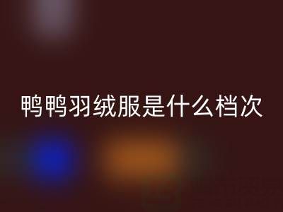 鴨鴨羽絨服是什么檔次的牌子?價格貴嗎?