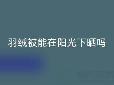 羽絨被能在陽光下曬嗎?——上海鴨絨回收廠家揭秘