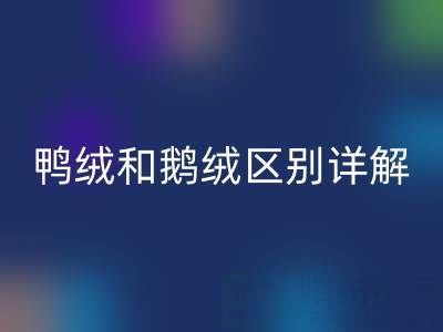 鴨絨和鵝絨區(qū)別詳解及羽絨收購資源指南